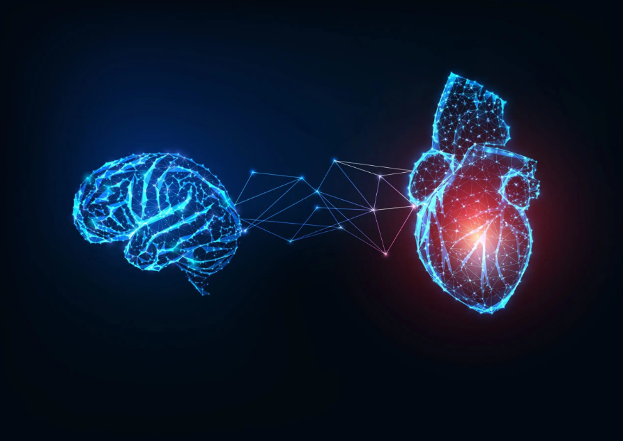 Ilustração de cérebro e coração interligados por pontos e linhas digitais, representando tendências em neurociência e inteligência emocional.